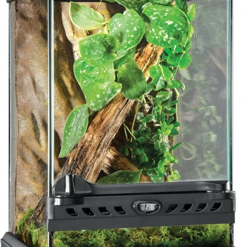 Exo Terra Terrario Nano Tall de 16 L, Vidrio, 20 x 20 x 30 cm, negro