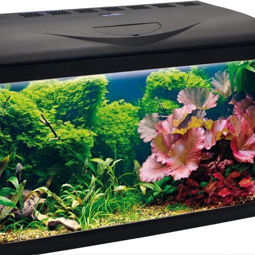 Amtra Wave Basic 60 Led - Acuario Completo De 65 Litros, Iluminación De 8 Watios, Filtro Interno Y Calentador, 60X32X42 Cm