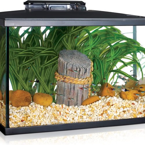 Marina Kit de Acuario con Iluminación LED 5G, 19 L