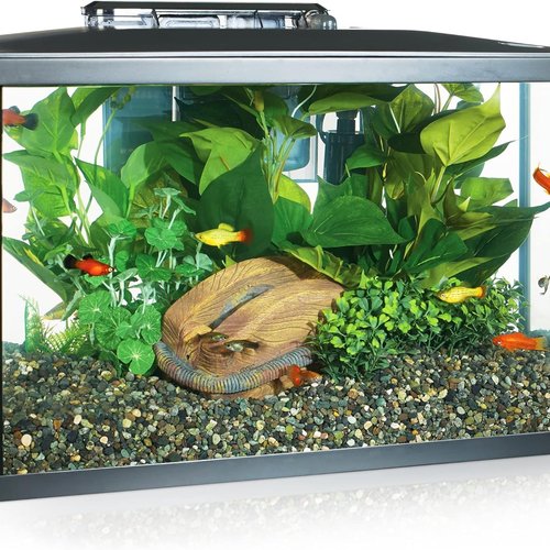 Marina 15256 - Kit de Acuario con Iluminación LED 10G, 38 L, Transparente