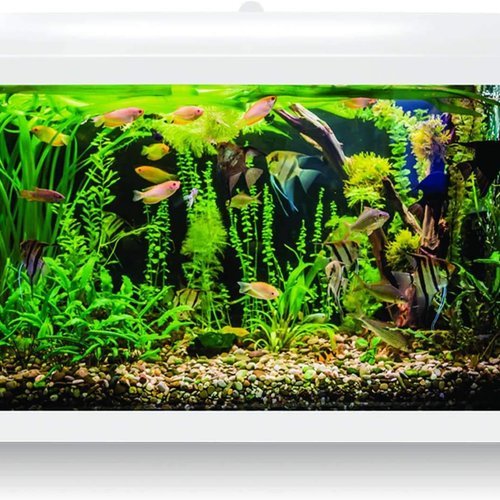 ICA KDI68B Acuario Aqua LED Pro 60L Blanco, Kit Completo con Filtro, Luz LED, Alimento para Peces, Acondicionadores, Termómetro y Termocalentador