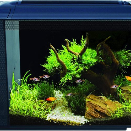 Fluval Spec XV - Acuario de 60 l, Color Negro