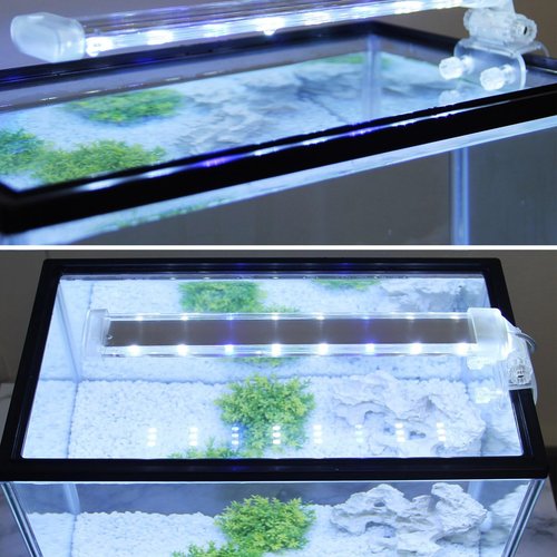 BPS® Lámpara de Acuario LED Iluminación Luces para Plantas Luz Blanco y Azul 2 Modelos para Elegir 4W/8W (8W: 300 x 40 mm) BPS-6872