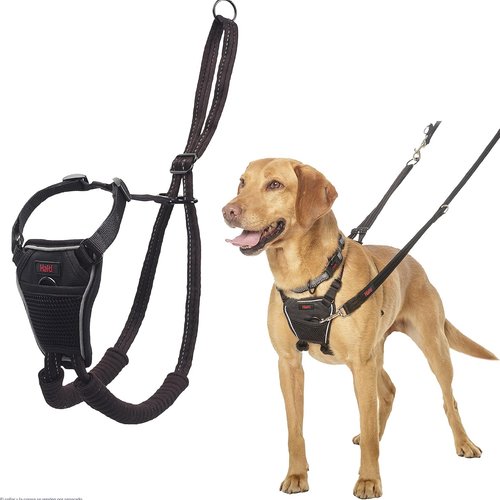 Arnés anti tirones HALTI - Para evitar que tu perro tire de la correa, Ajustable, Ligero y Fácil de Usar. Reflexiva Adiestramiento canino Arnés para perros medianos (Talla M, Negro)