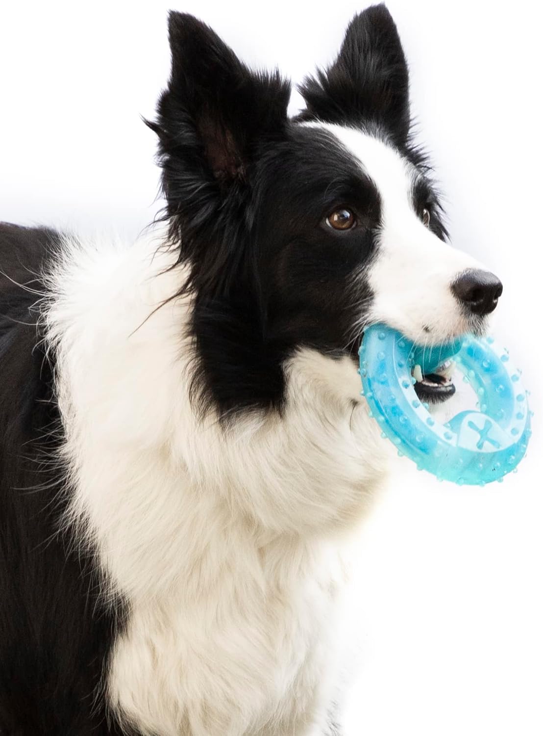 InnovaGoods Mordedor Perro 2 en 1, Efecto Frío Congelable, con Ranura para Premios, Cuidado Dental