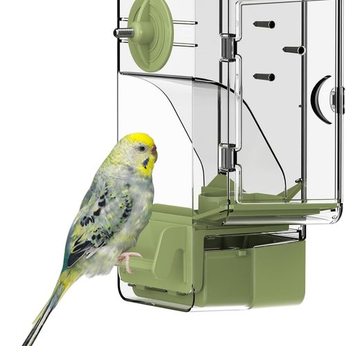 Comedero automático para pájaros, comedero para Jaula de pájaros con Percha Soporte Multifuncional para Frutas y Verduras para Periquito, Canario, cacatúa, pinzón (Verde)