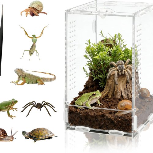 DARENYI Terrario Acrílico Transparente, 20 x 12 x 11 cm Caja de Alimentación para Reptiles, Mini Terrario para Insectos, Caracoles, Arañas, Rana, Lagarto